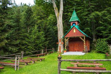 zdjęcie drewnianej kaplicy w lesie